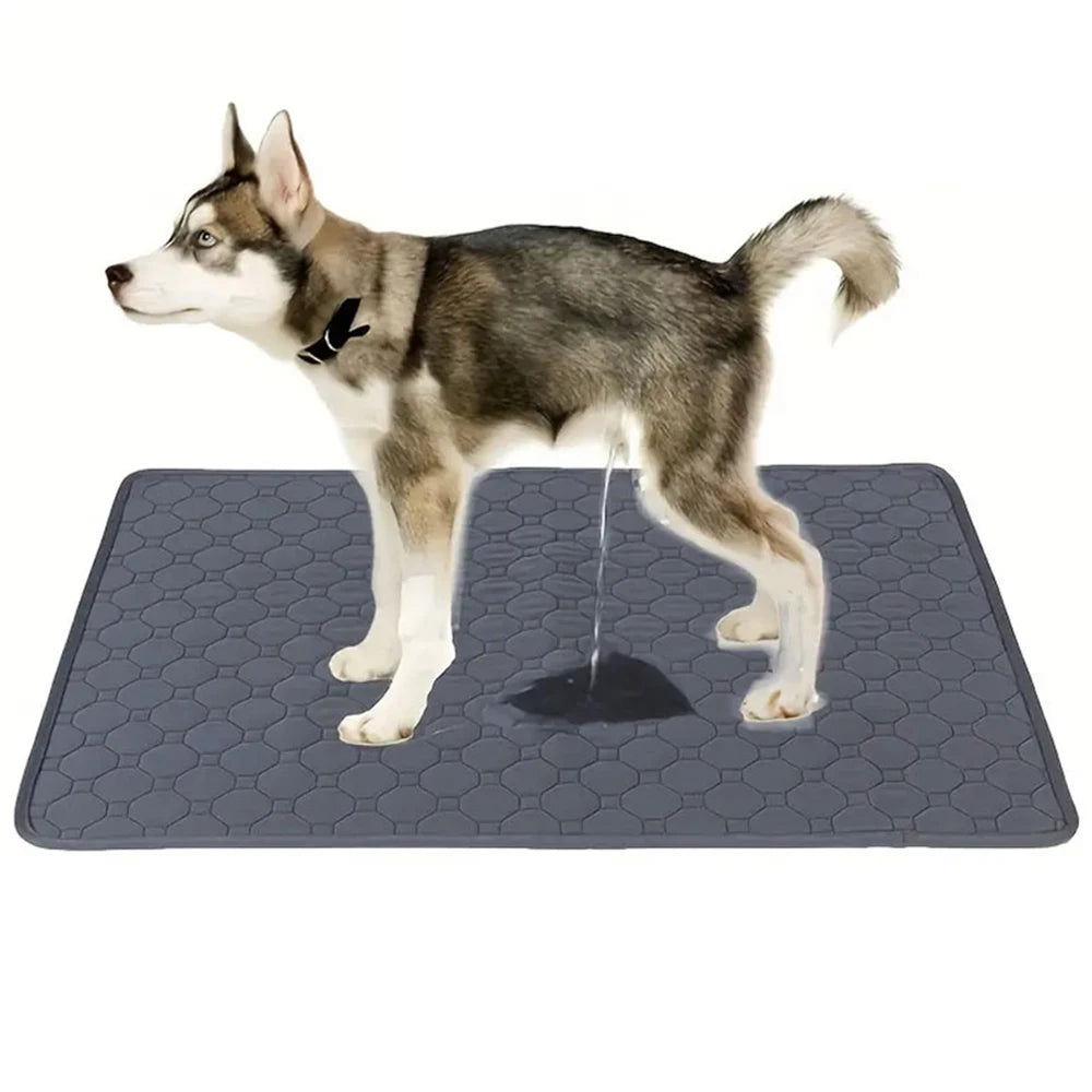 Washable Dog Pee Mat