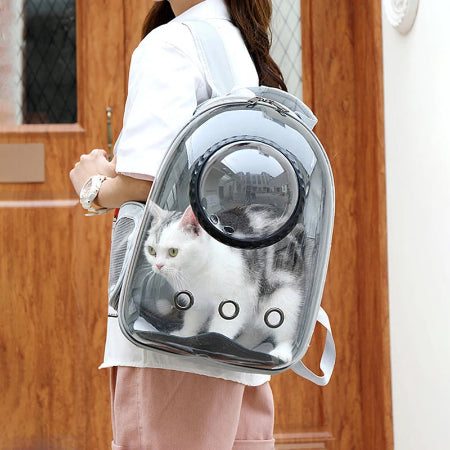 Space Capsule Pet Backpack