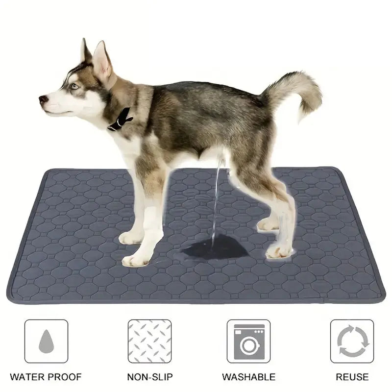 Washable Dog Pee Mat