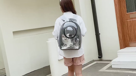 Space Capsule Pet Backpack